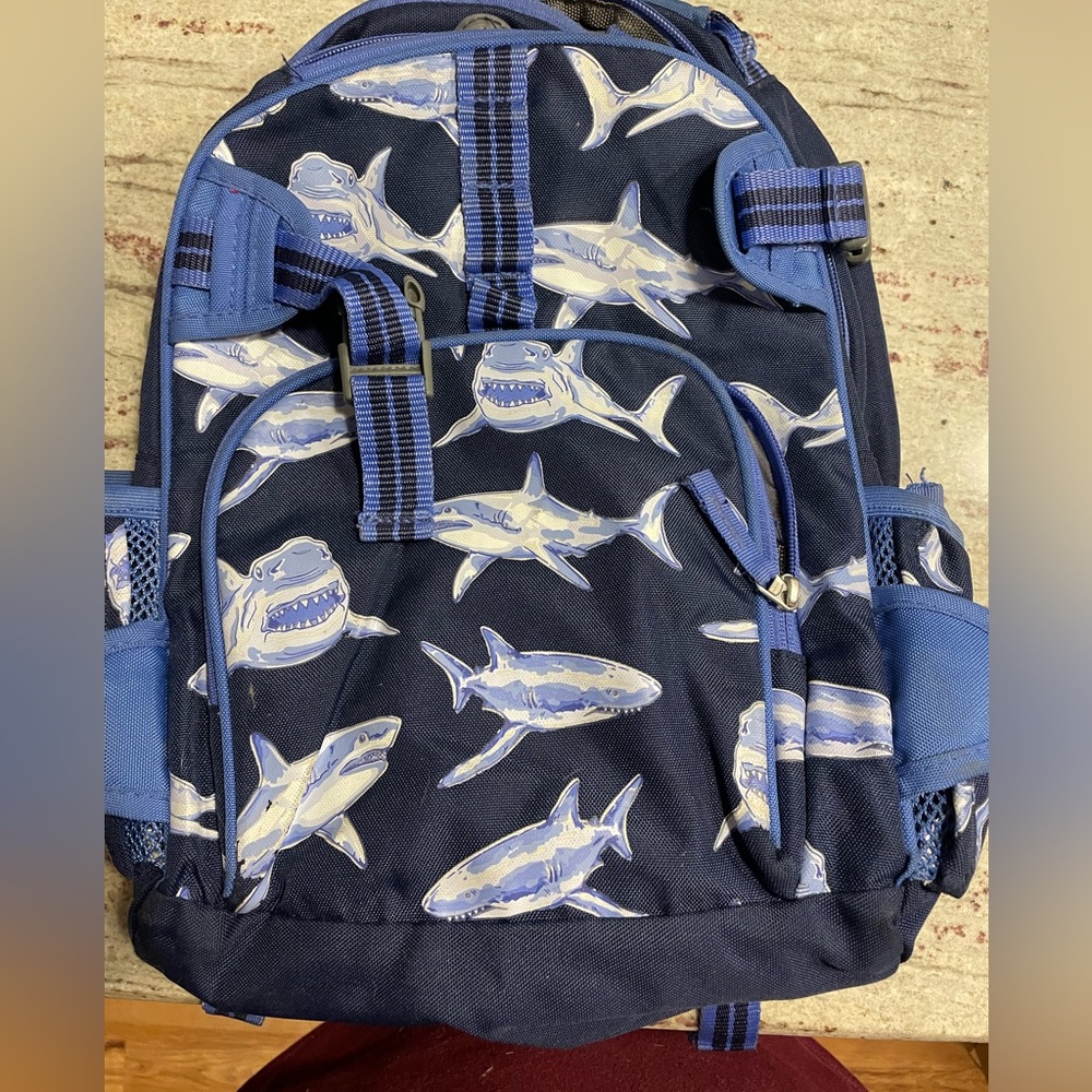 Pottery Barn Kids backpack